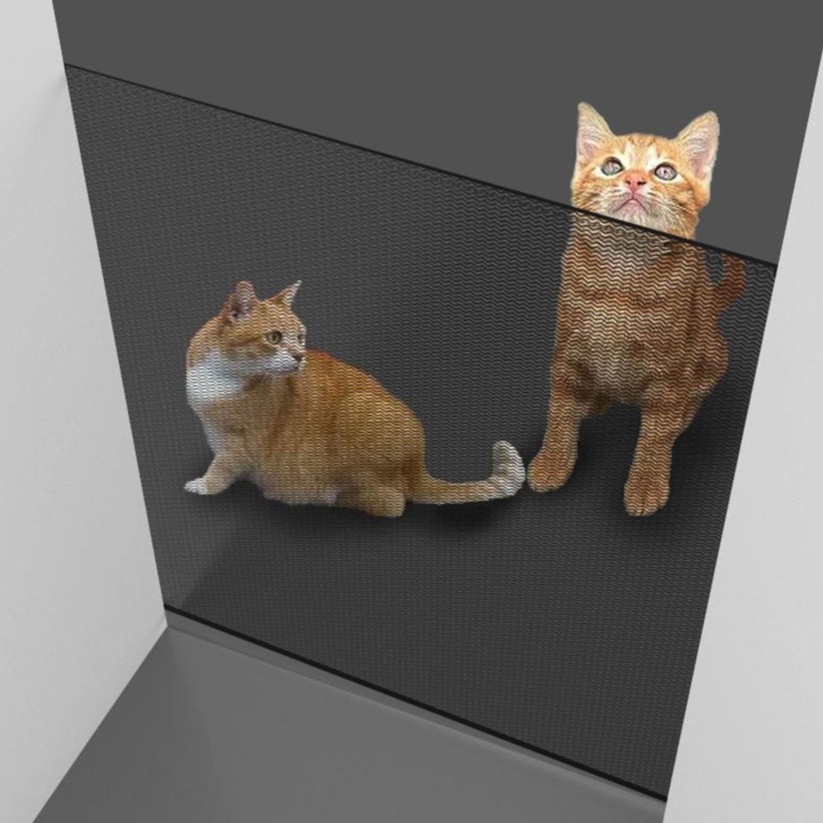 Puertas retráctiles para masco - Baby Gate Extra Wide reseña y precio